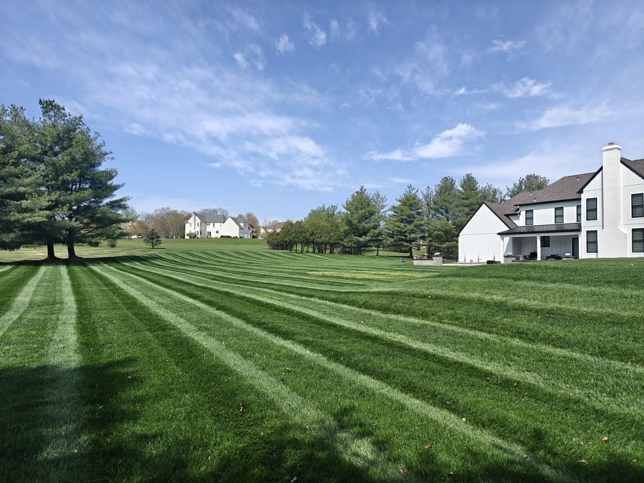 Freshly maintained residential lawn