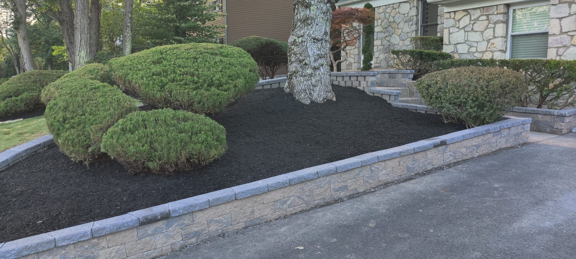 Finished retaining wall and planting area