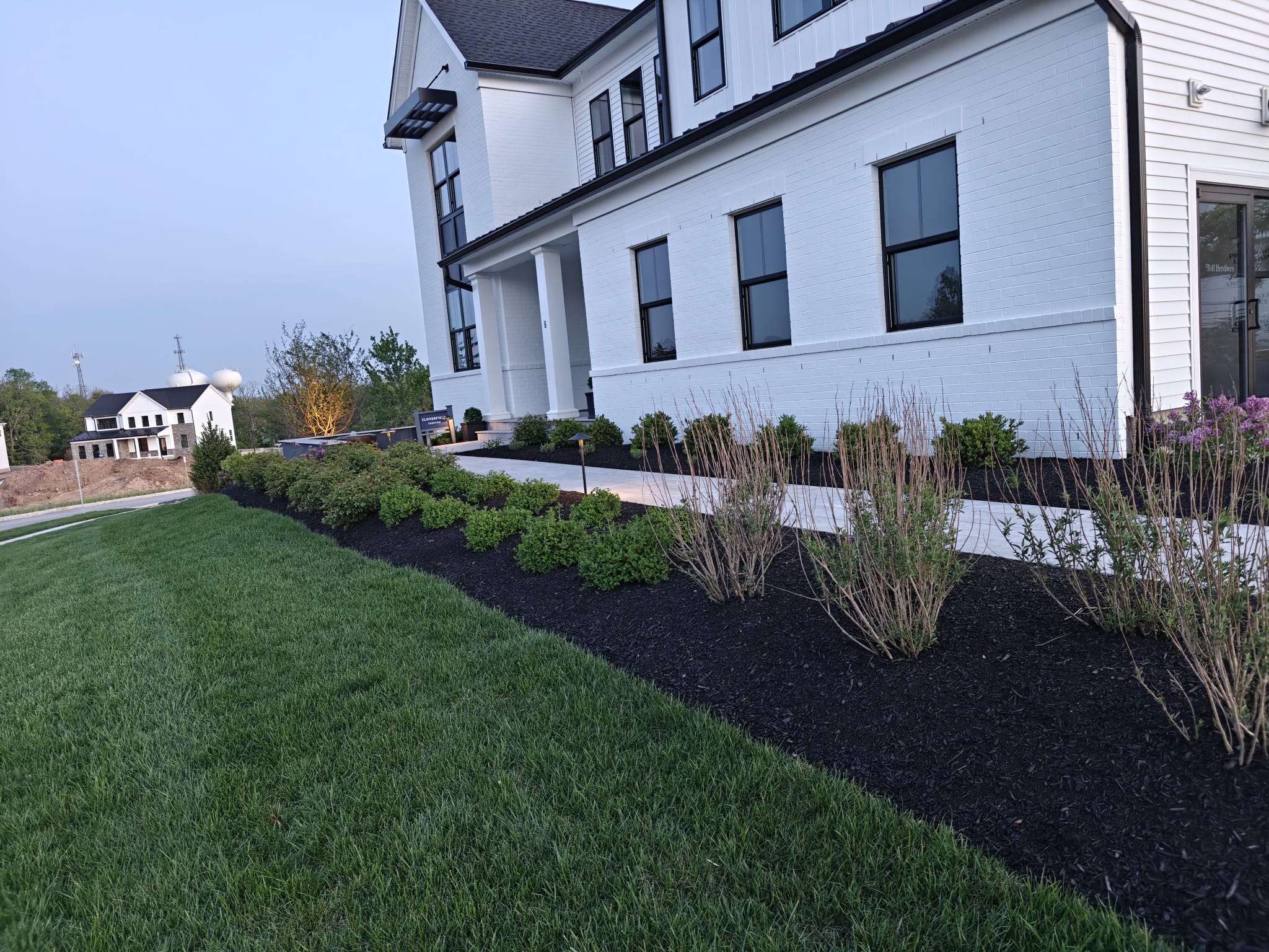 Well-maintained residential landscape and lawn